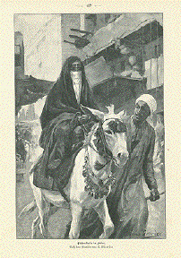 Donkey - Eselsreiterin in Kairo ( Donkey rider in Cairo)