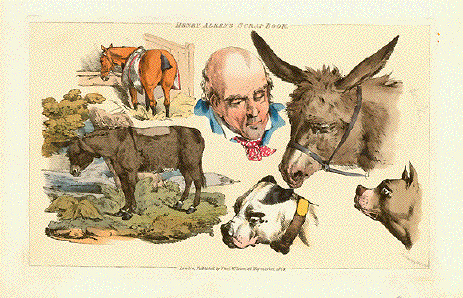 Donkeys - Burros - Henry Alken's Scrap Book