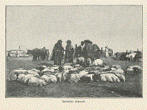 Armenischer Viehmarkt
