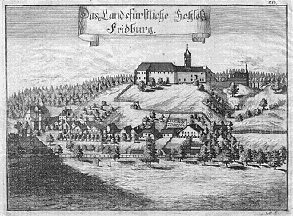 Das Landsfürstliche Schloss Fridburg