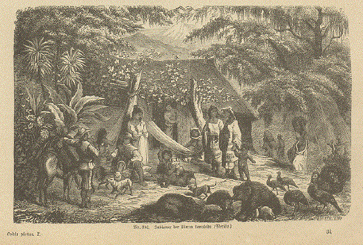 Indians of the Sierra Templada