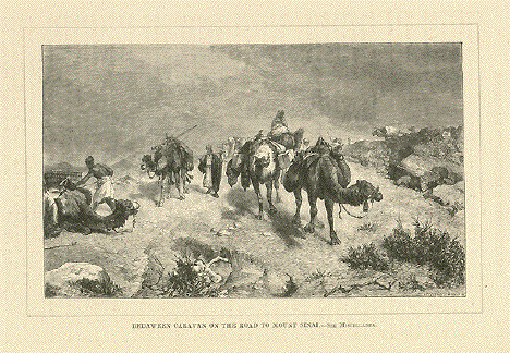 Beduain Caravan, Mount Sinai