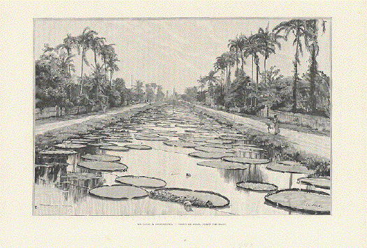 Un Canal a Georgetown